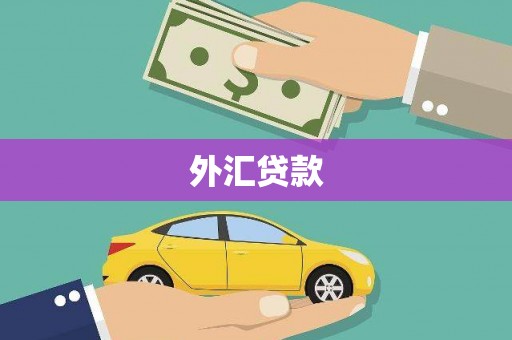 察右后旗外汇贷款