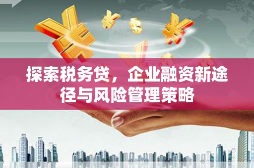 察右后旗探索税务贷，企业融资新途径与风险管理策略