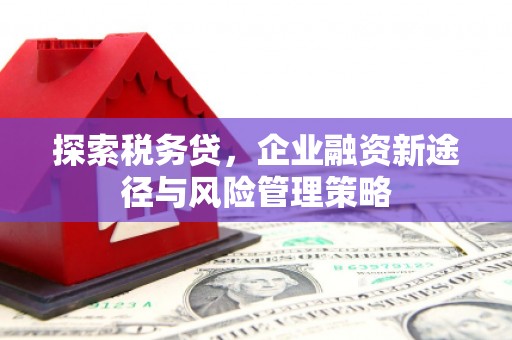 察右后旗探索税务贷，企业融资新途径与风险管理策略