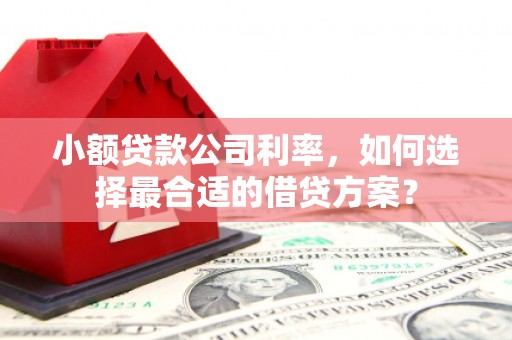 察右后旗小额贷款公司利率，如何选择最合适的借贷方案？