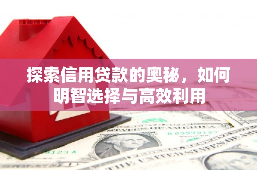 察右后旗探索信用贷款的奥秘，如何明智选择与高效利用