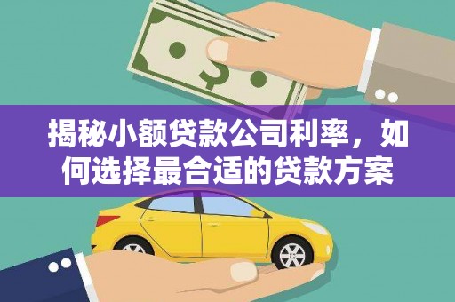 察右后旗揭秘小额贷款公司利率，如何选择最合适的贷款方案
