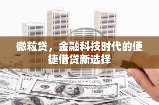 察右后旗微粒贷，金融科技时代的便捷借贷新选择