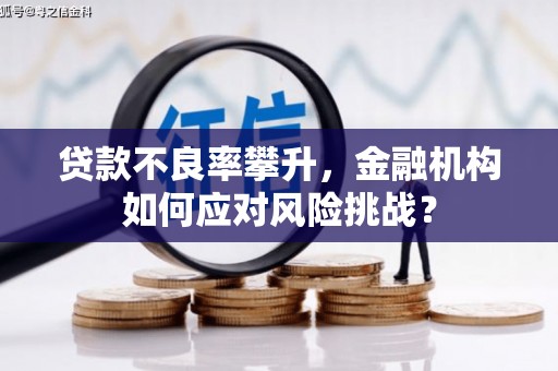 察右后旗贷款不良率攀升，金融机构如何应对风险挑战？
